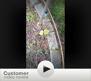 Click to watch this video
