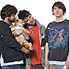 Image of Animal Collective