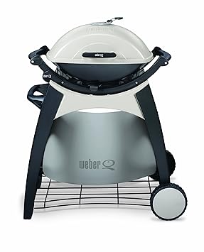 barbecue weber charbon q