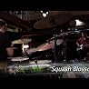 Groove Alchemy 