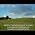 Video of Daniel Mark Brown