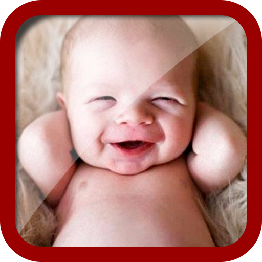 Funny Videos 2016