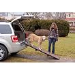 RAMPA PET GEAR FULL LENGTH TRI-FOLD para MASCOTAS (71 Largo x 16 Ancho x 4 Alto Pulgadas)