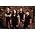 Vignette de Bullet for My Valentine