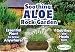 Soothing Aloe Rock Garden