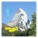 Mountain Summer Live Wallpaper