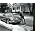 Thumbnail image of Bruce Springsteen