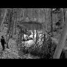 Lamb - Butterfly Effect (from the album '5')