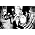 Vignette de The New York Dolls