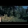 ESMAYE - SECRET GARDEN