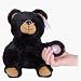 Beamerzzz Flashlight Teddy Bear 12