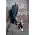 Thumbnail image of Steve Earle