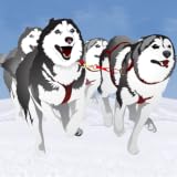 Dog Sledding Winter Race : The canine cold ice sled in the north pole - Free Edition