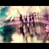 Bibio - Silver Wiklinson