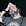 Steve Earle
