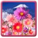 Flowers HD ScreenSaver