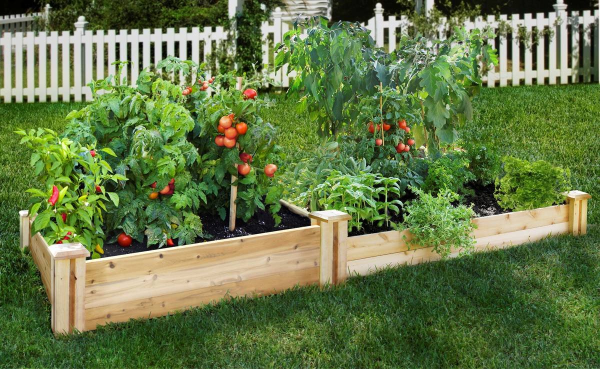 TwoTiered Raised Garden Kit North American cedar (4'x8'x10.5 & 7))