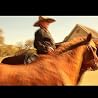 Video von Willie Nelson
