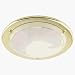 Brass Plated Bathroom Flush Ceiling Light