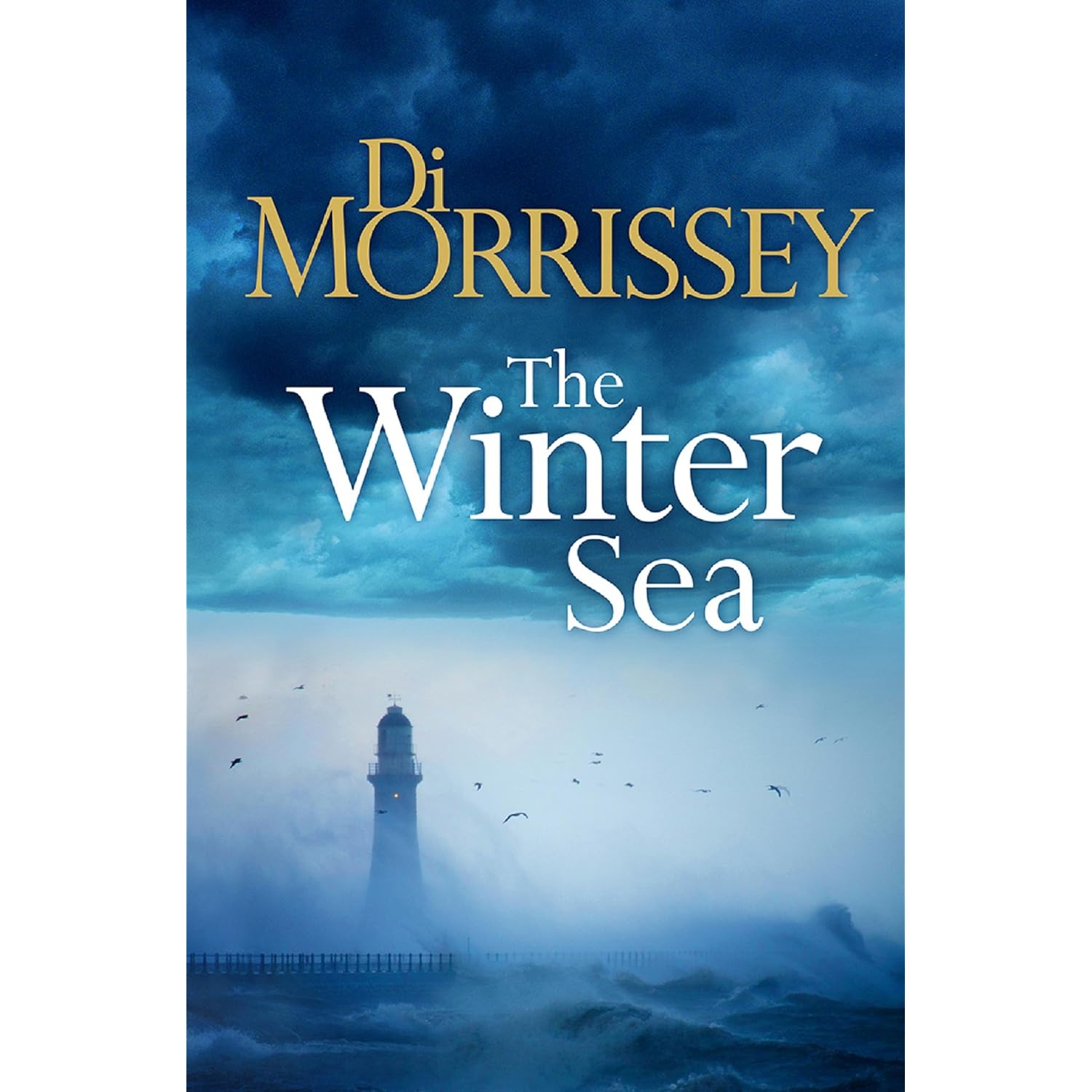 The Winter Sea  - Di Morrissey