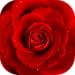 Floristry