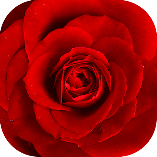 Floristry