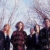 Image of Jayhawks