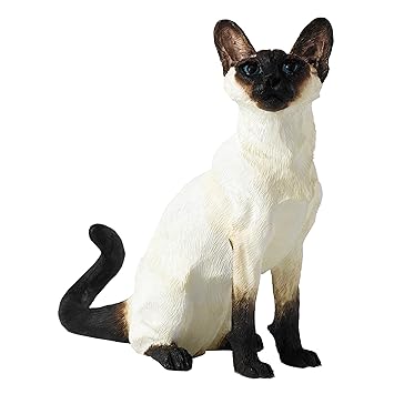 [Bild: 81nQHEm13kL._SY355_.jpg]