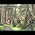 Video of Vicki Hinze