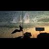 Anni Rossi - The West Coast