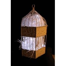 Fortune Products FFL-91W Fantasia Fairy 91 LED Light, 190" Length, White