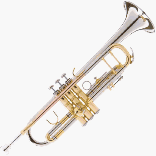 Cecilio 3Series TT-380CN Intermediate B Flat Trumpet with Monel Pistons