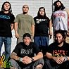 Image of Tribal Seeds