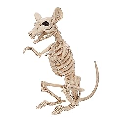 halloween rat skeleton