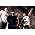 Thumbnail image of Foals