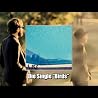 Artist Video