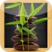 puz-ZEN-le Zen Puzzle Game