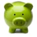The Pocket Financial Planner
