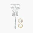 Beistle - 57532 - Wedding Cascade Hanging Column- Pack of 12