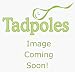 Tadpoles Ticking Herringbone Twill Fabric