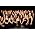 Thumbnail image of Military Wives