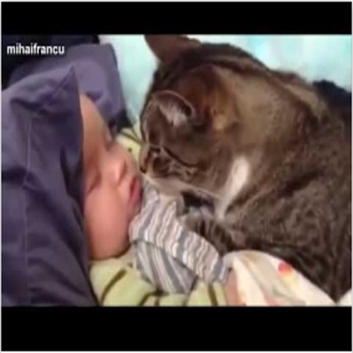 Funny videos for kids 2016