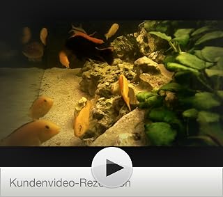 Klicken, um dieses Video zu sehen
