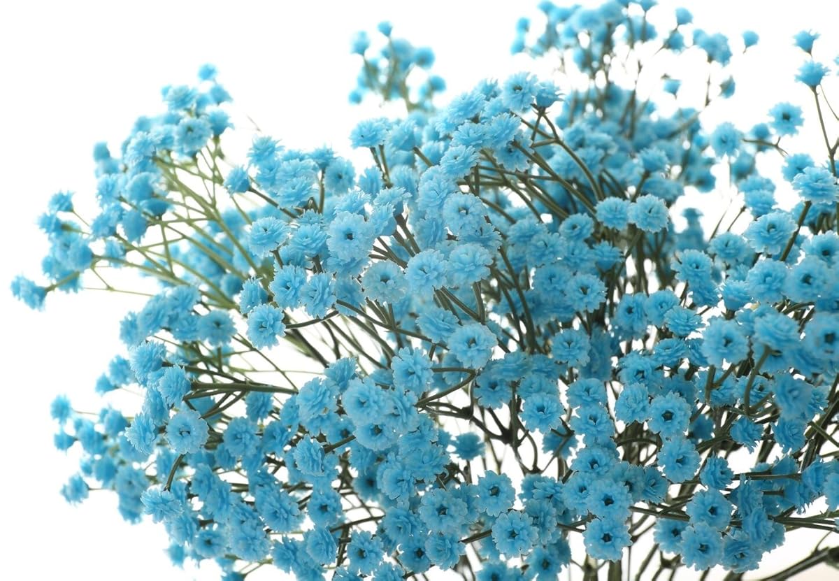 Miracliy 6pcs Gypsophila Artificial Flowers 26 Artificial Baby Breath