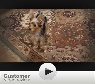 Click to watch this video