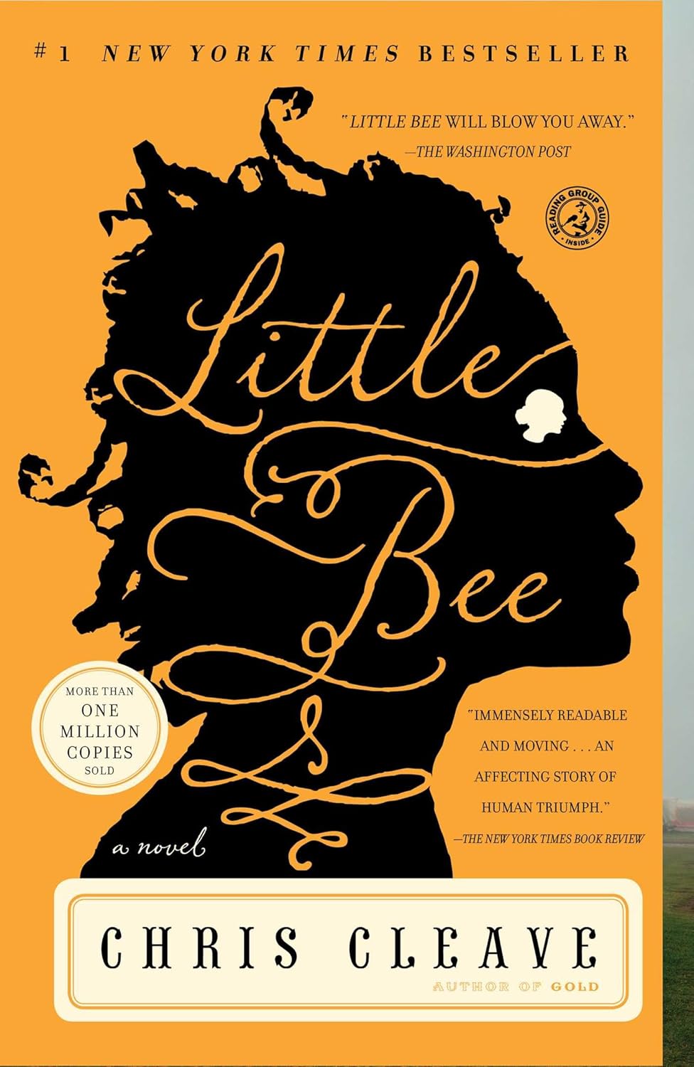 Little Bee