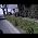 Video of Vincent Zandri