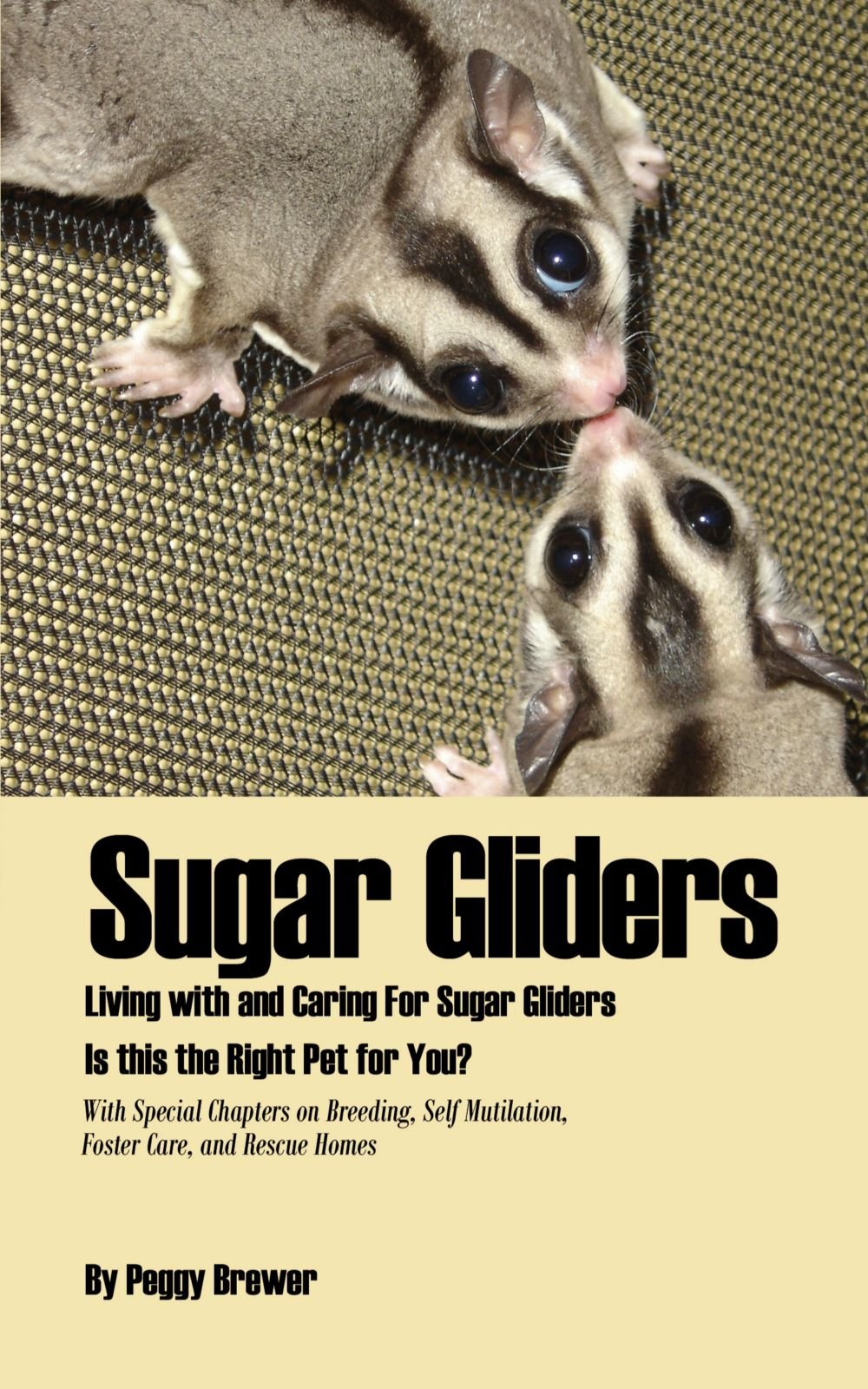 Caring For Sugar Gliders Caring For Sugar Gliders