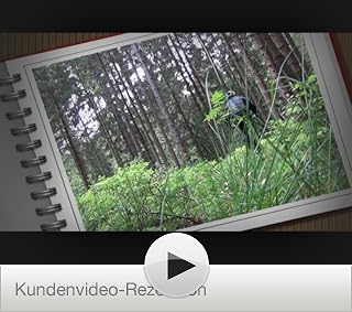 Klicken, um dieses Video zu sehen
