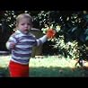 BIRDWATCHERS music video